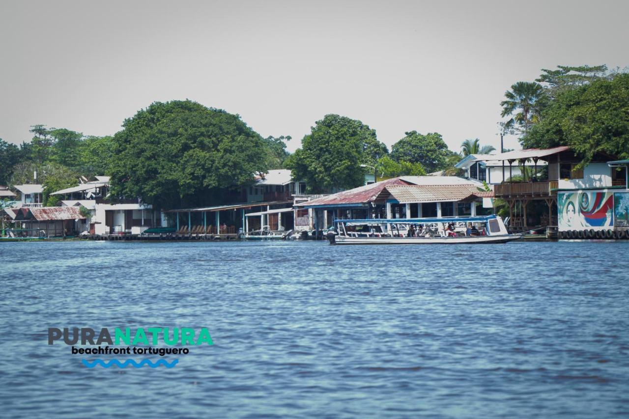 Hotel Pura Natura Beachfront Tortuguero Exterior foto