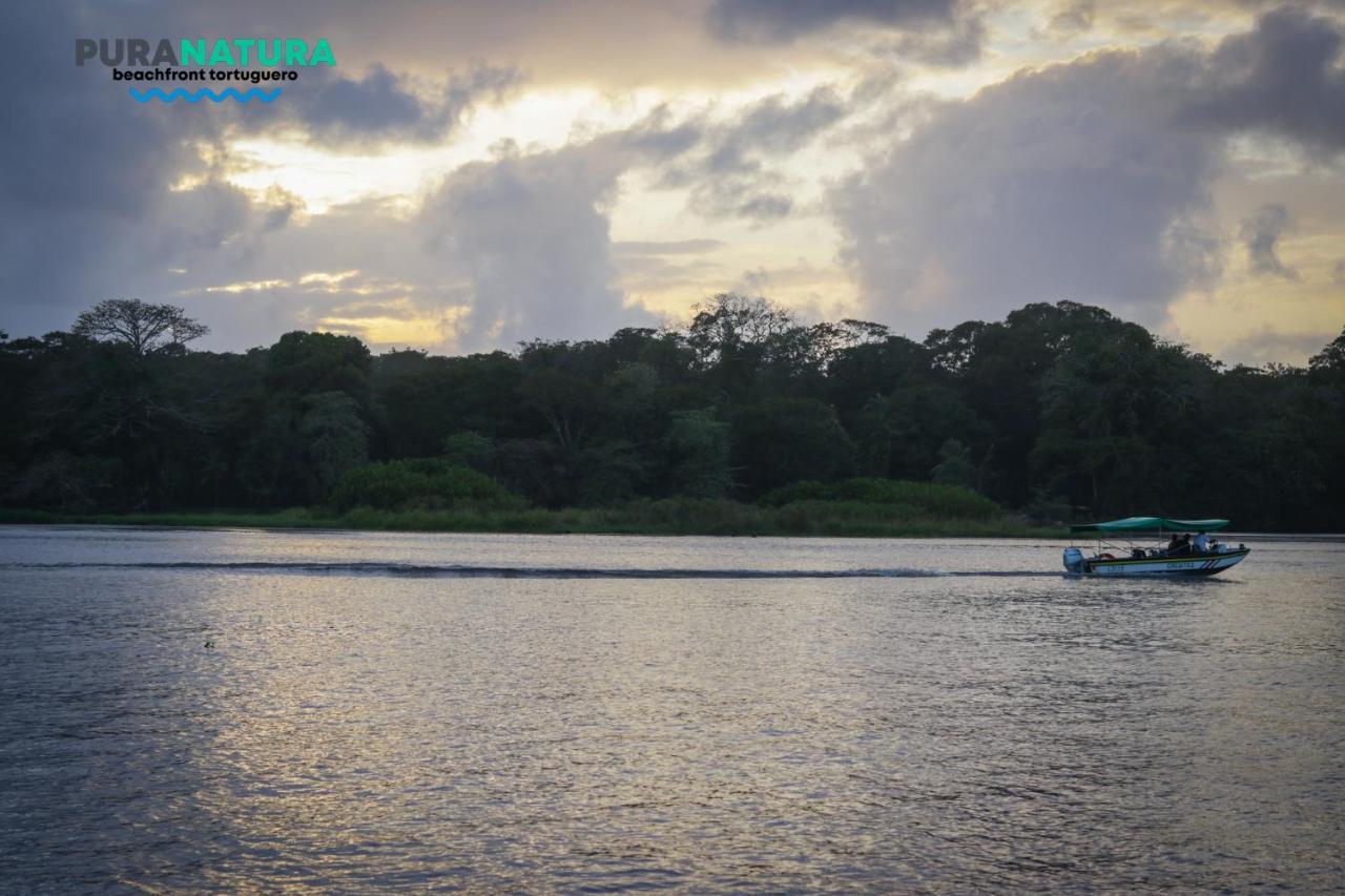 Hotel Pura Natura Beachfront Tortuguero Exterior foto