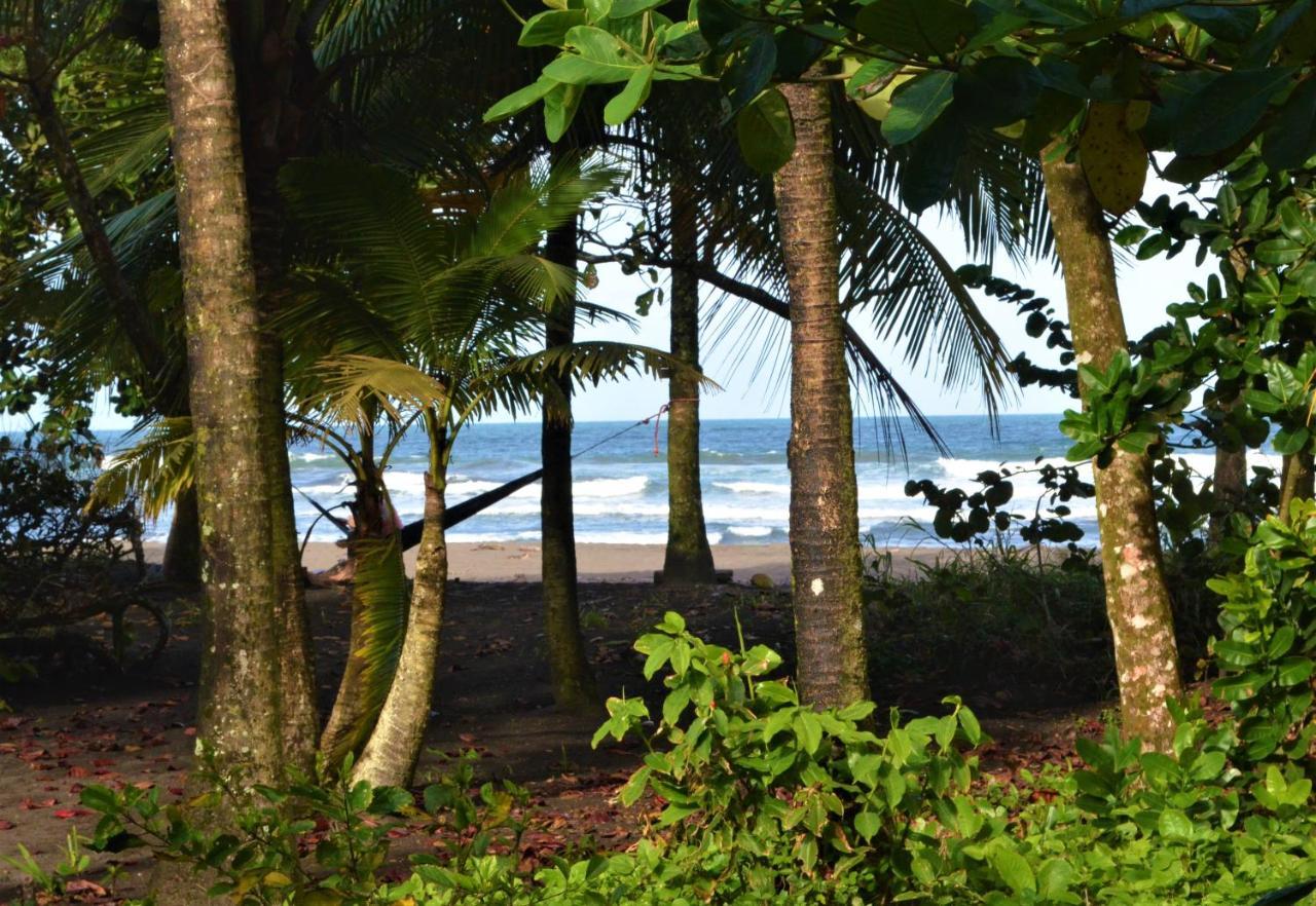 Hotel Pura Natura Beachfront Tortuguero Exterior foto