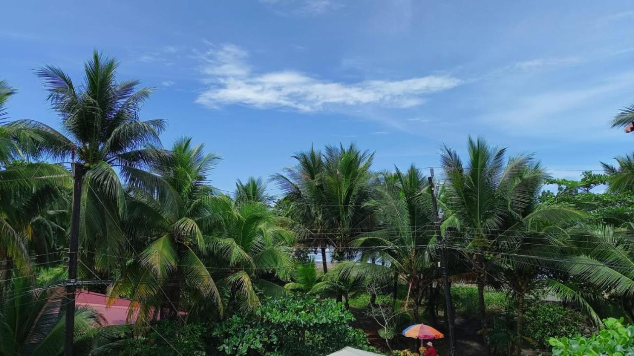 Hotel Pura Natura Beachfront Tortuguero Exterior foto